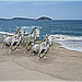 Chevaux d'écume sur la plage.