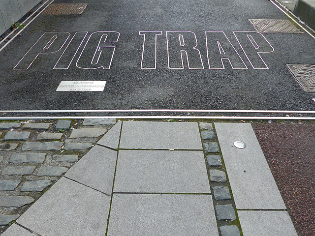 PIG Trap - 24 September 2014