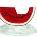 Watermelon and Christmas Stamp