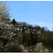 Old houses in Spring -Vecchie case in primavera