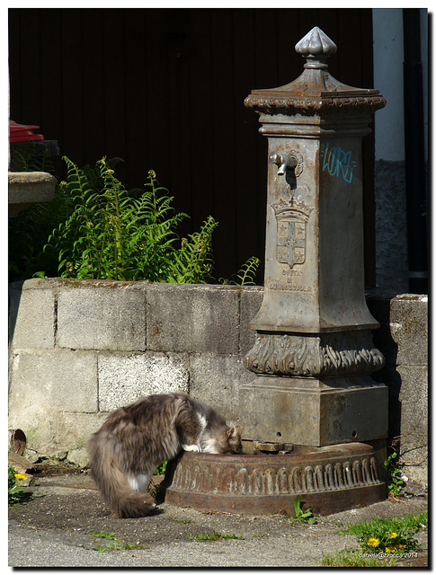 I'm thirsty -Che sete!