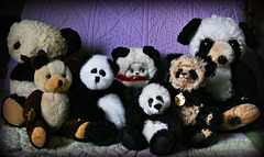 1-10 Project: 7 Toy Pandas