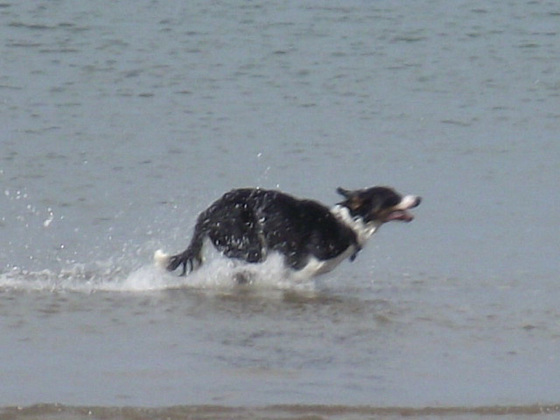 How much fun he's having