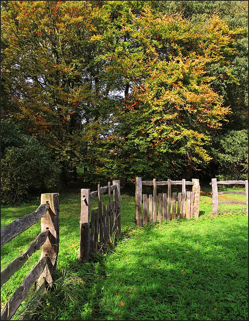 Autumn in Stowe Landscape Gardens