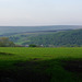 Moorfield