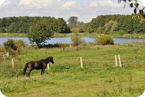 am Ruppersdorfer See