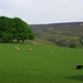 Moorfield