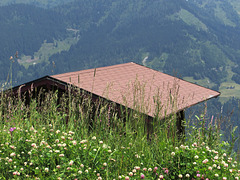 Hütte mit Aussicht