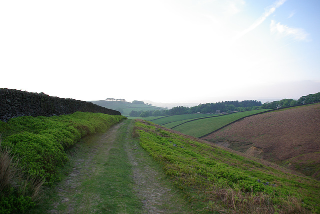 Bray Clough