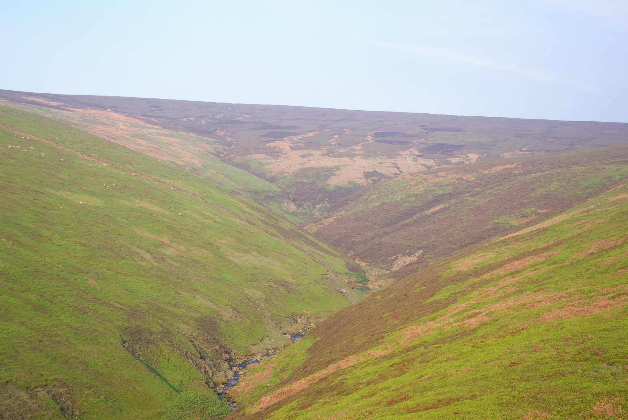 Bray Clough