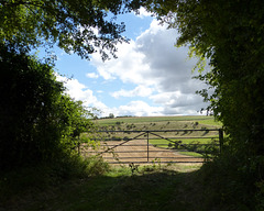 Bishopstone view