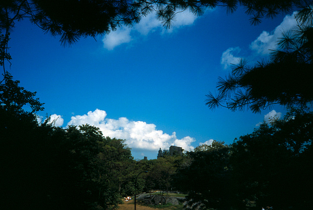 Central Park View