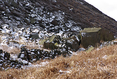 IMGP3259