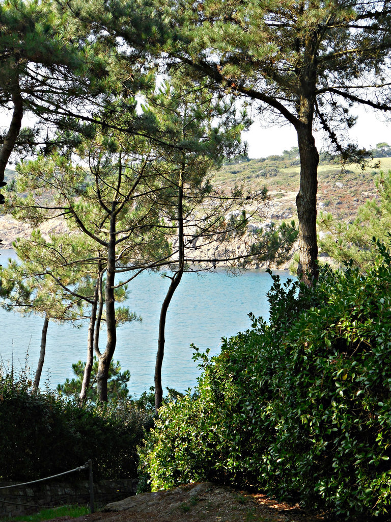 kerfany les pins