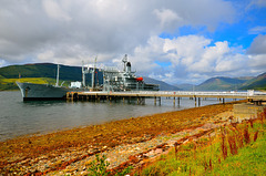 RFA GOLD ROVER