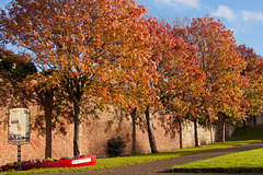 Autumn comes to Starbank Park