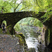 The bridge at Ossian's Falls