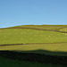 Mossy Lea Farm views