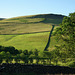 Mossy Lea Farm views