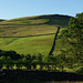 Mossy Lea Farm views