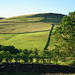 Mossy Lea Farm views