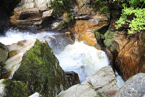 Falls on The River Braan at The Rumbling Bridge