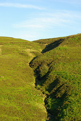 Doctors Gate path