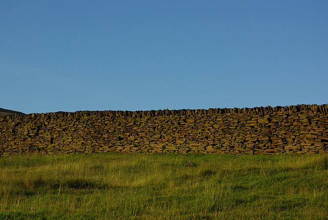 Mossy Lea Farm