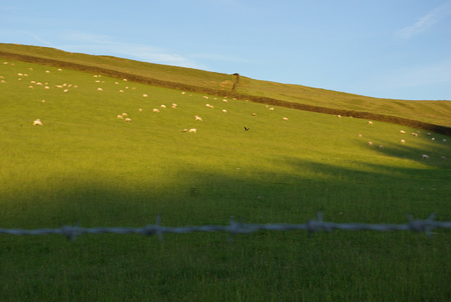 Mossy Lea Farm