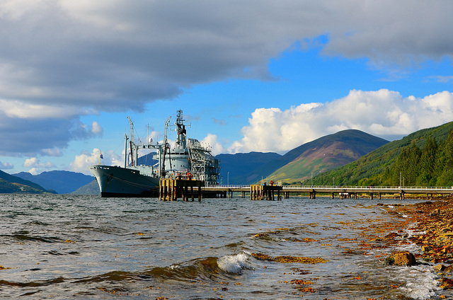 RFA GOLD ROVER