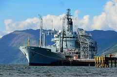 RFA GOLD ROVER