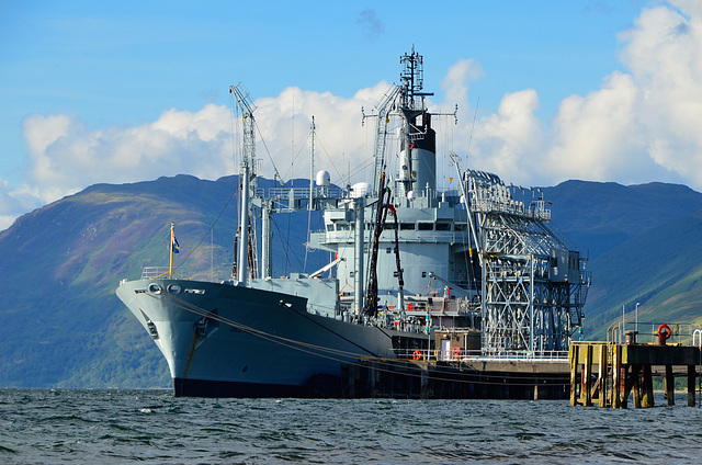 RFA GOLD ROVER