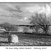 Ouse Valley Nature Reserve  February - 14.2.2013