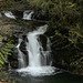 The Lower Falls of the Wallace River