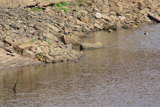 at Hurst Reservoir