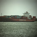 Containerschiff  Cap Harrison