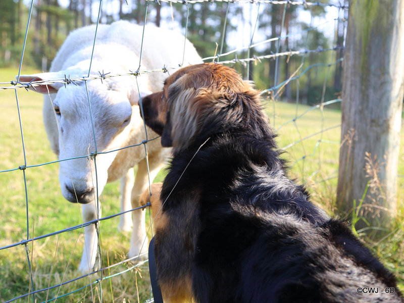 Listen my friend, we need to share these apples he is dishing out to you...