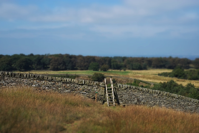 Tilt and shift over the wall