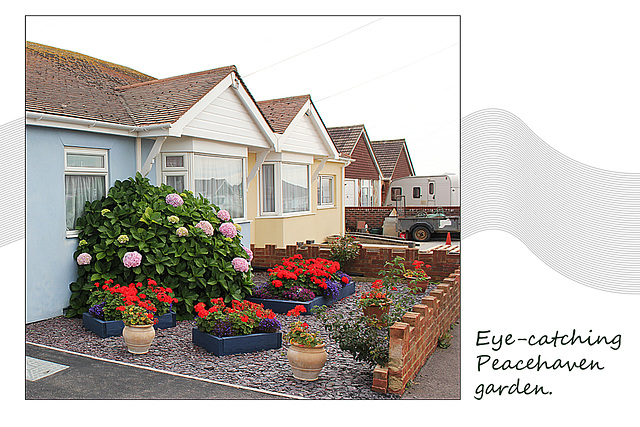 Peacehaven front garden - 18.9.2014