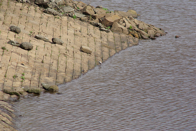 at Hurst Reservoir