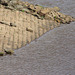 at Hurst Reservoir