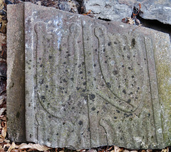 beeleigh abbey, essex,part of  an early c14 tapered cross slab coffin lid probably the wrong way up  with unusual leaf motifs growing from cross stem. the closest design of which I am aware is an earlier one <a href="https://www.ipernity.com/doc/st