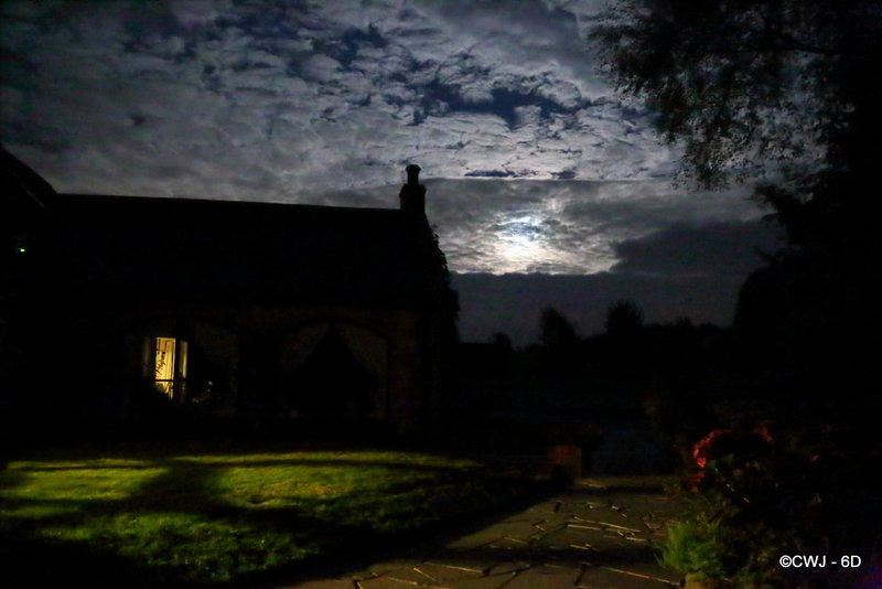 Moonlit Skies