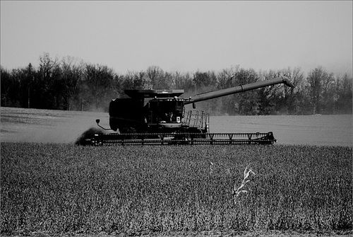 Harvest