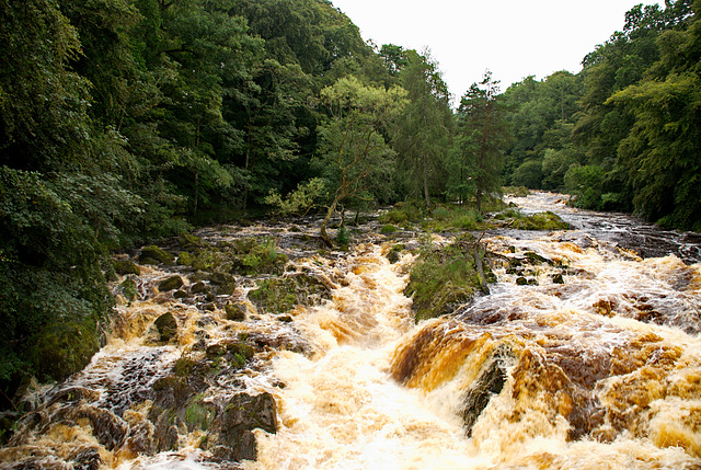 Bridge of Feugh 2