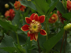 P8150067