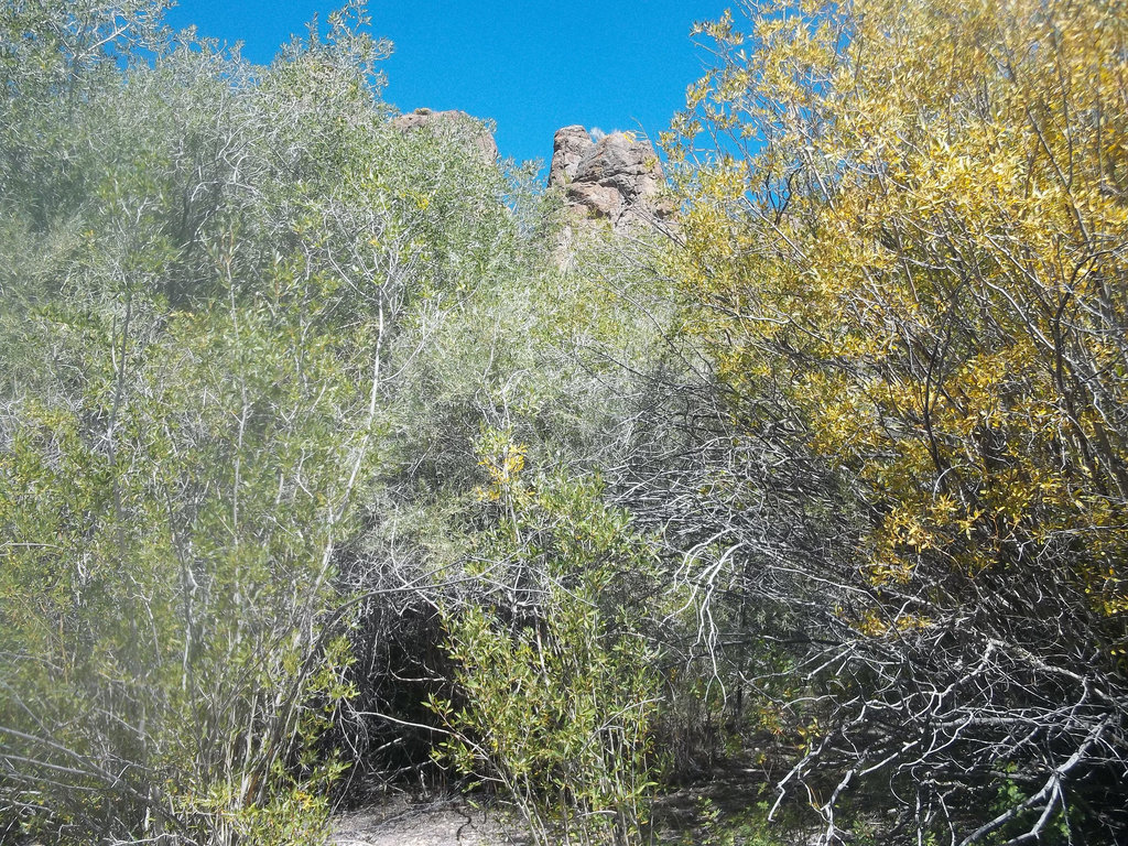 100_1824