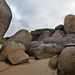 Wilsons Prom with Erika, Chris & Derek