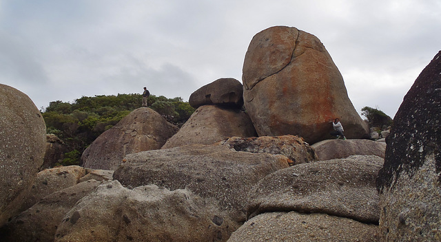 Wilsons Prom with Erika, Chris & Derek