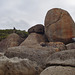 Wilsons Prom with Erika, Chris & Derek